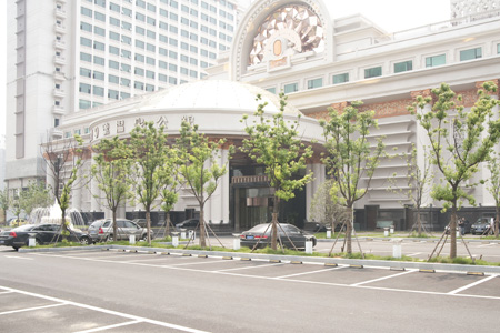 合肥蓝鼎九号公馆采用贝塔斯瑞娱乐