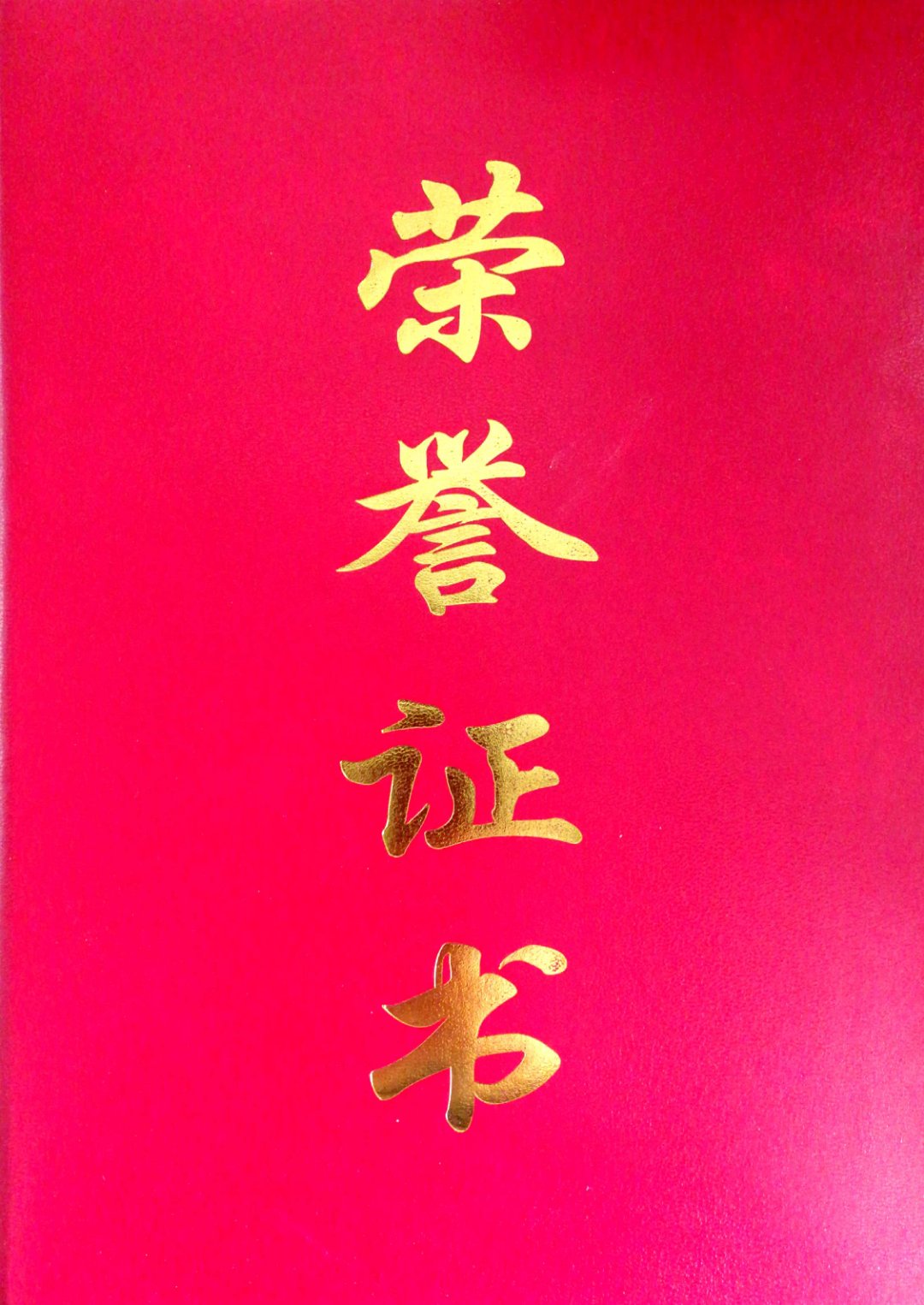 ZOBO麻豆影院91性欲董事长张新峰荣获2018年度“九三学社社员”