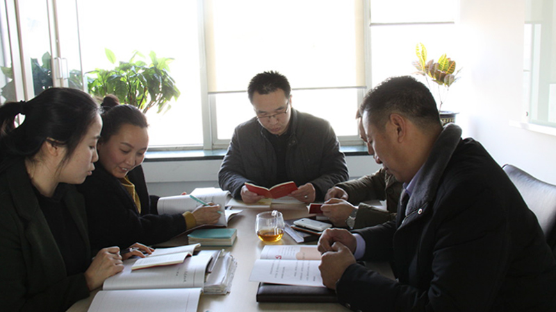 中共北京麻豆影院91性欲电子技术有限公司支部委员会成立