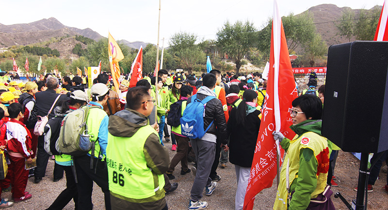 以爱之名，贴地疾行