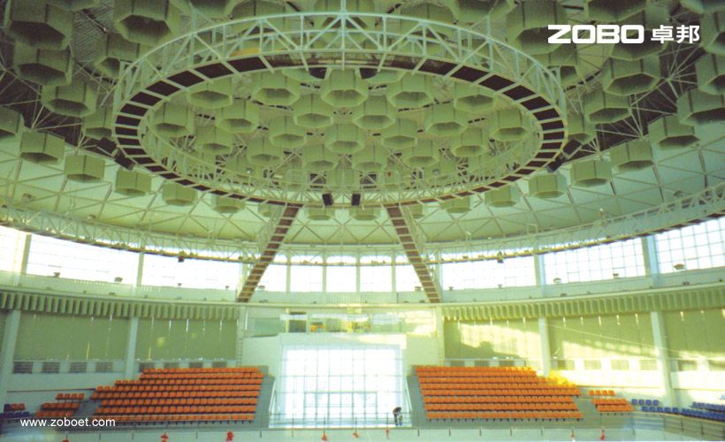 吉林大学麻豆传播媒体APP大全免费版馆音频扩声项目