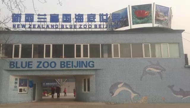案例 ▎ZOBO麻豆影院91性欲为富国海底世界打造音视频系统